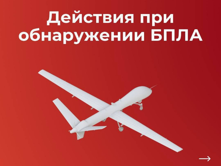 В Смоленской области сбит БПЛА