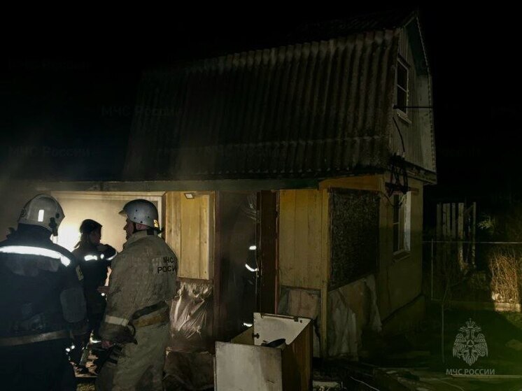 Пожар в тульской деревне Барсуки тушили 13 человек