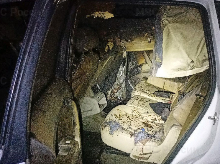 В брянском поселке Мамай спасатели потушили пожар в автомобиле