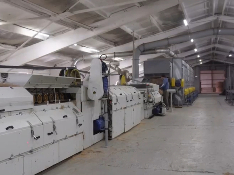 Целевое обучение: ключ к профессиональному будущему молодежи Смоленщины