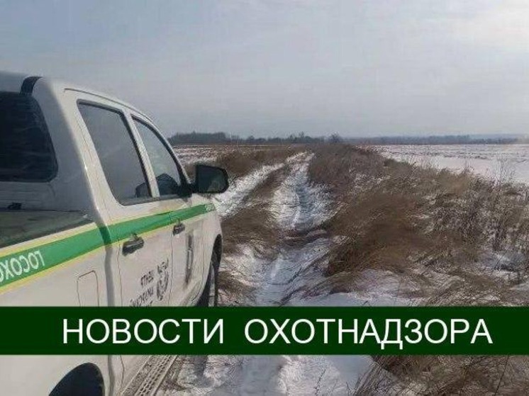 Охотников Хабаровского края поймали на 12 нарушениях