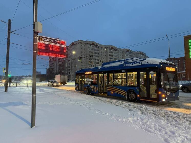 Марий Эл окутают морозы, но всего на пару дней