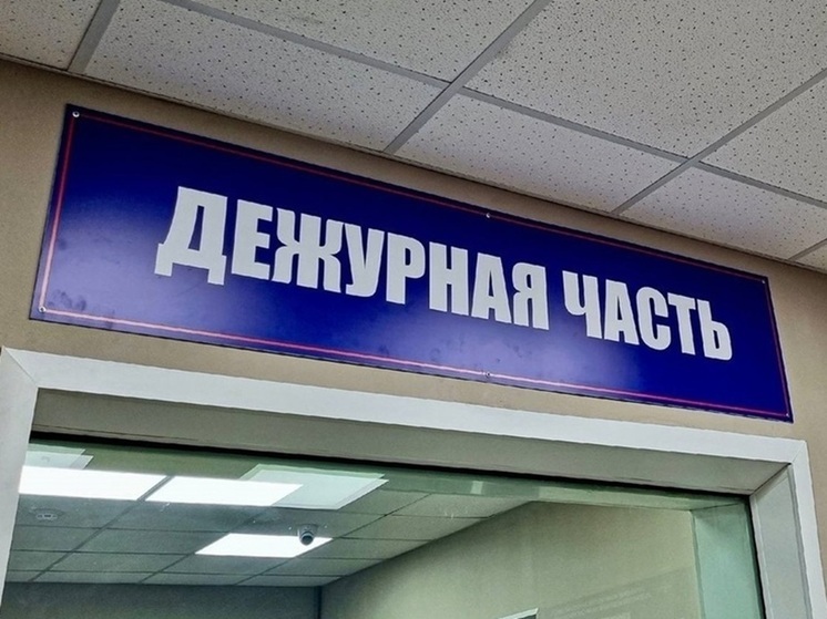 Жителя Курганской области обманули при покупке двигателя