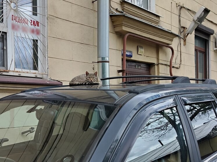 В Петербурге задержали пьяного угонщика автомобиля без прав