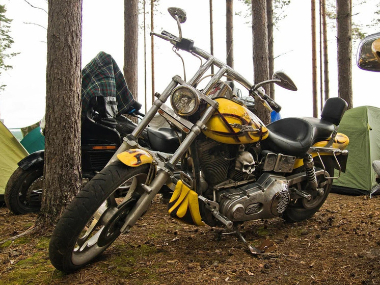 Руководитель Прионежского района выразил благодарность карельским "Ночным волкам"