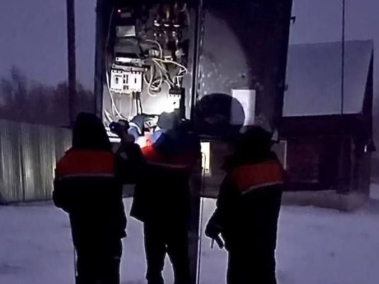 Буран оставил без света девять районов Ульяновской области