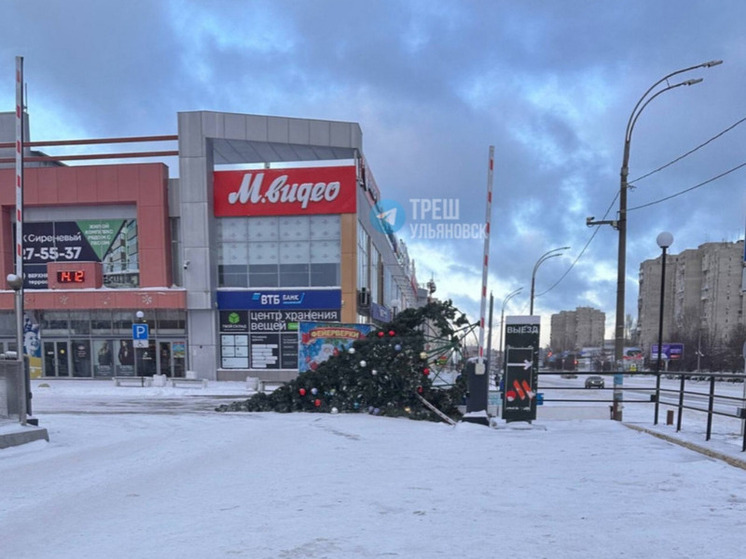 Сильный ветер сдул новогоднюю елку у ТЦ «Самолет»
