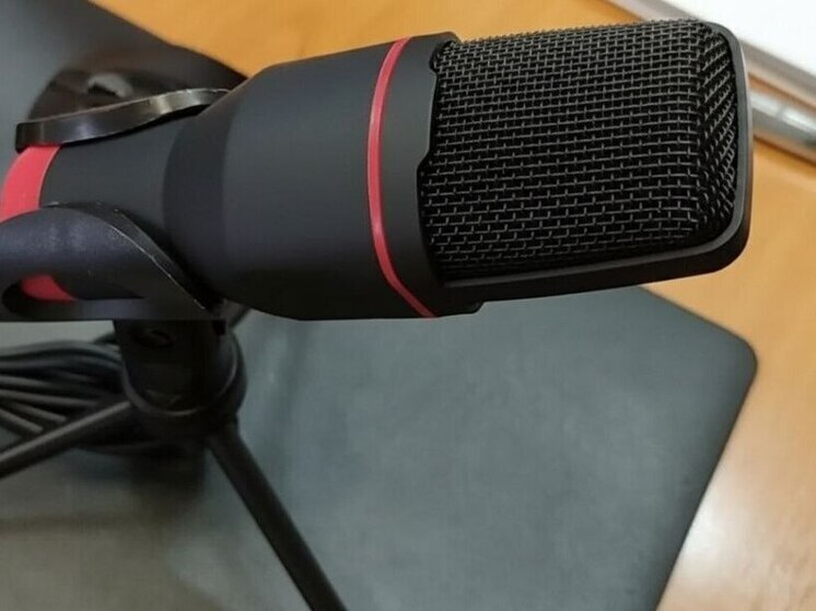 Педагоги детских школ искусств Хакасии рассказали Путину о несправедливой ситуации