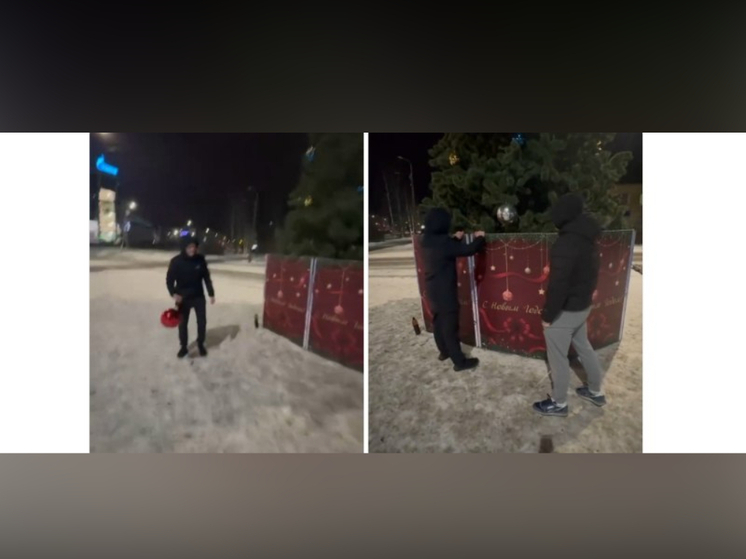 В Петрозаводске полиция установила личности злоумышленников, повредивших новогодние украшения на елке