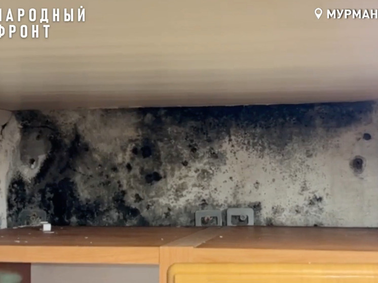 Жильцы пятиэтажки на Свердлова в Мурманске задыхаются от плесени