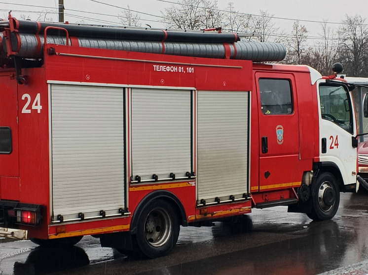 В Окуловке при пожаре в трехквартирном доме погиб человек
