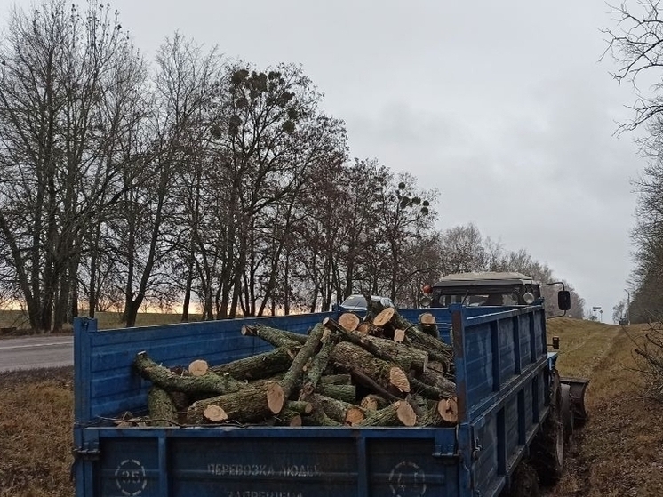 Сотрудники администрации Борисовского округа приняли участие в заготовке дров