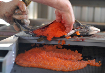 За считанные дни до Нового года все чаще мелькают комментарии по ценам на красную игру – главное украшение праздничного стола