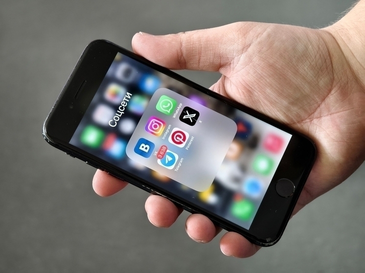 В Томске согласован пикет против блокировки игры Roblox