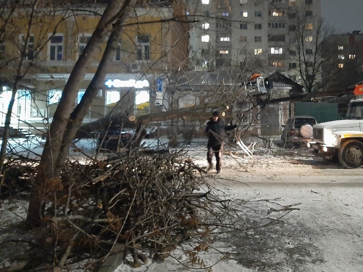 В центре Саратова на мужчину в машине упало дерево