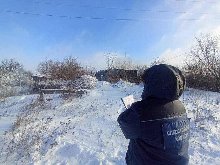 На пожаре в Аткарском районе погиб пенсионер