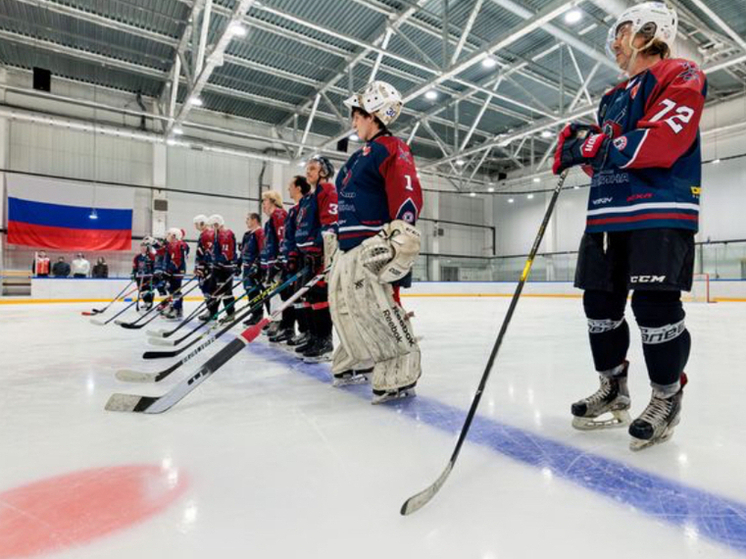 Звёзды кино и хоккейные легенды сыграют против команды Серпухова