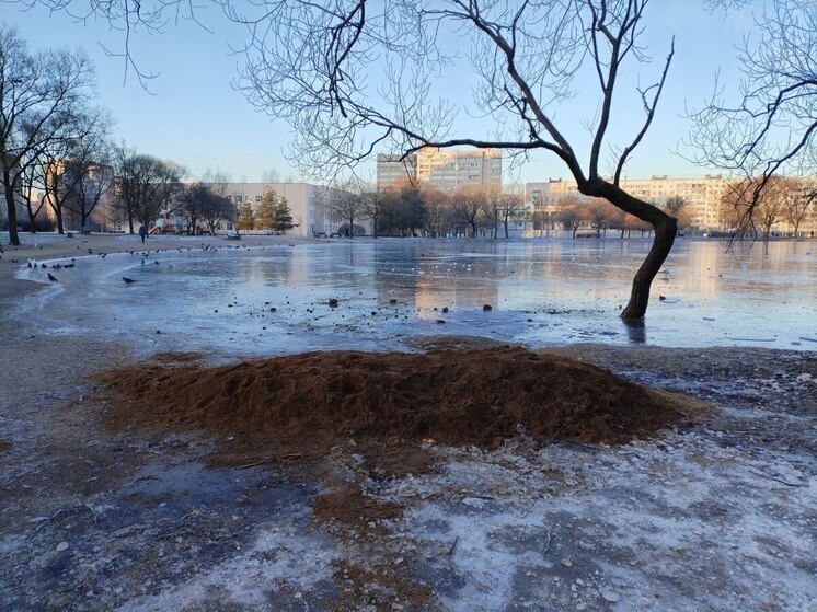 Утекающий пруд в Саду Ивана Фомина остановили кучей песка