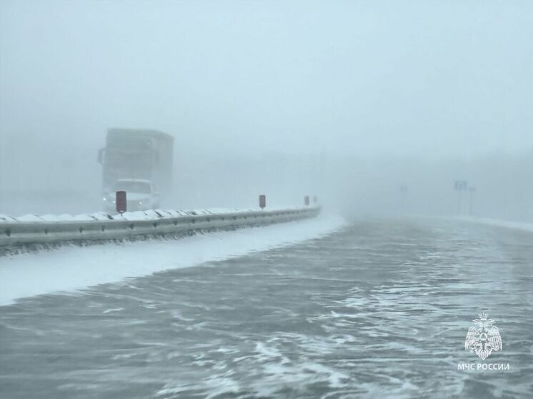 МЧС Удмуртии предупредило о метели и сильном снеге в ночь на 15 декабря