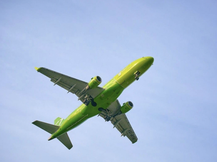 В Толмачево отменили и задержали несколько рейсов с прибытием в Новосибирск