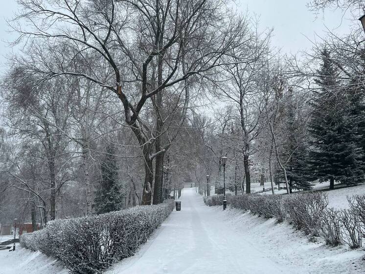 На участке трассы М-5 в Самарской области временно ограничили движение