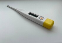 Как распознать и что делать при парвовирусной инфекции