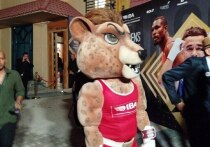 Резюме последнего дня чемпионата мира по боксу по версии Международной боксёрской ассоциации (IBA) может быть заключено лишь в несколько слов, но каких радостных! Россия по-прежнему остаётся одной из самых мощных боксерских держав мира. Всего в финальный день прошло 12 боёв в разных категориях. Российские спортсмены выиграли семь из них. Более того, триумфом России стали последние пять боёв в самых зрелищных, тяжёлых весовых категориях. 