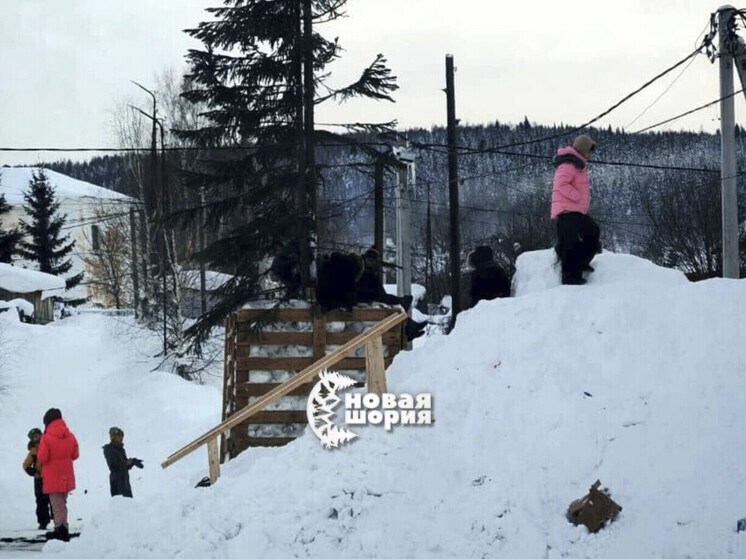 Лысая елка в Кузбассе стала главной темой обсуждения