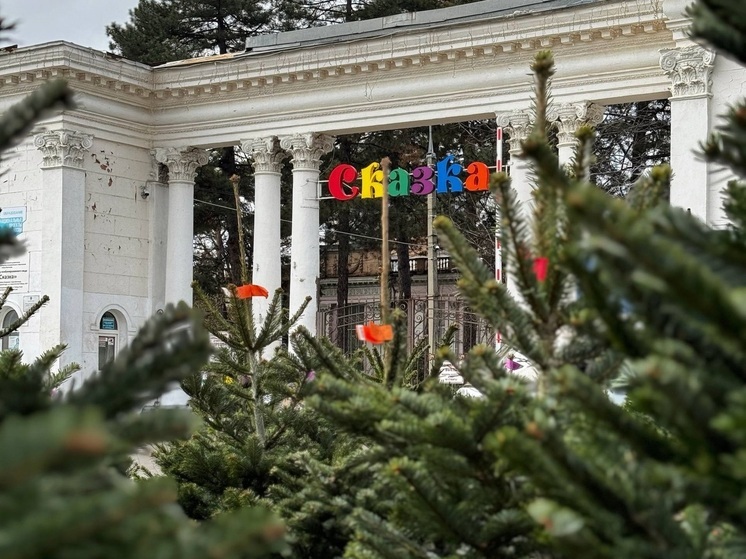 В Краснодаре заработали ёлочные базары