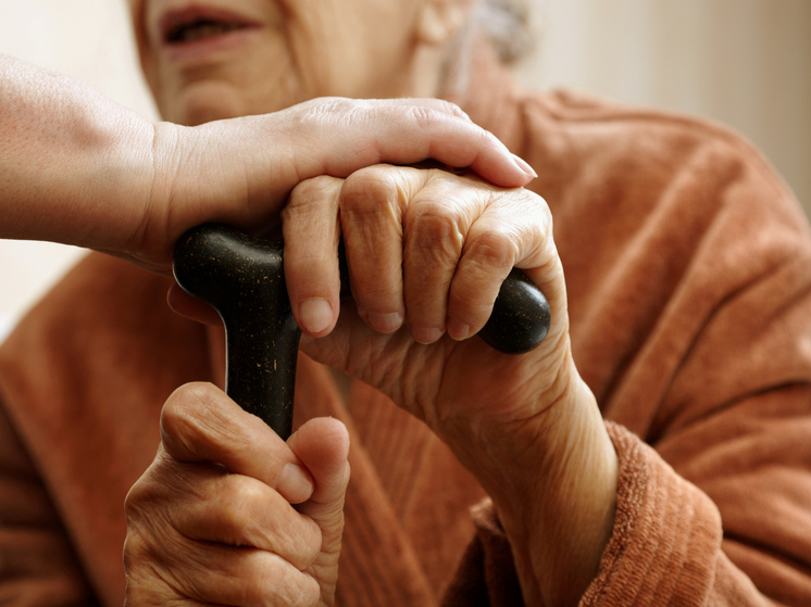 В Поморье реализуют проект по поддержке когнитивного здоровья пожилых