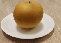 В холодное время года организм сталкивается с тройной нагрузкой: нехватка солнца, постоянный холод и атака вирусов. Современные исследования показывают, что лучшие помощники в этот период — привычные фрукты и ягоды. Кандидат педагогических наук, доцент, нутрициолог кафедры физической культуры ГУУ Ирина Меркулова назвала их в беседе с «МК в Ленобласти».