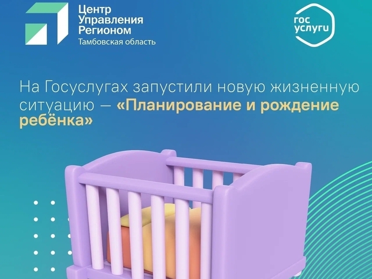 Госуслуги спешат на помощь: в Тамбове все документы для новорождённого можно оформить из дома