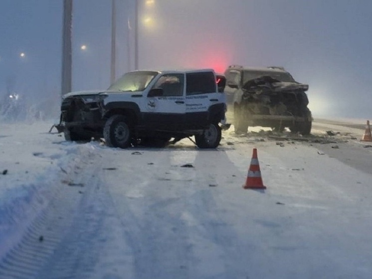 На севере Красноярского края в лобовом столкновении на трассе погиб пассажир автомобиля
