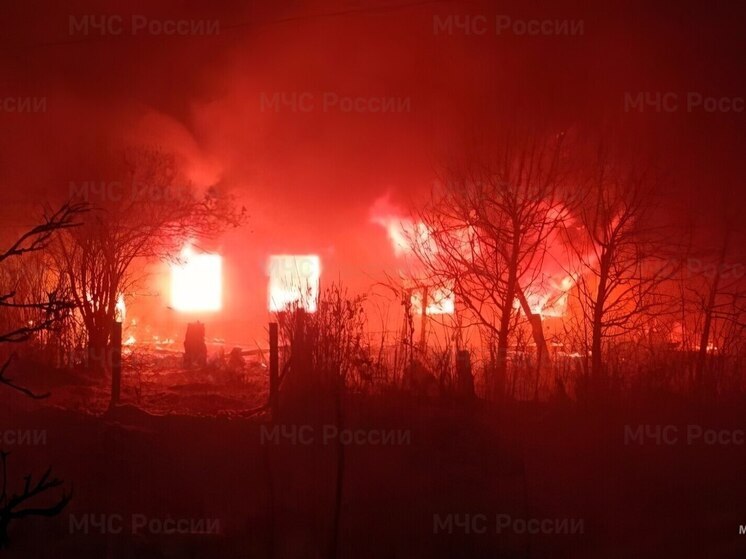 Двое жителей Алатырского округа пострадали при пожаре