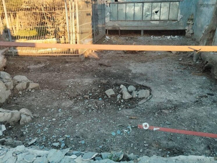 Ростовский парк птиц поможет атакованному ВСУ зоопарку в Васильевке