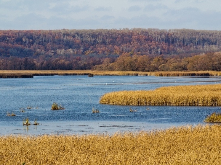 Новый порядок для дикой природы: в Тамбовской области утвердили правила экологического туризма