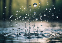  

Мы ежедневно чему-то удивляемся