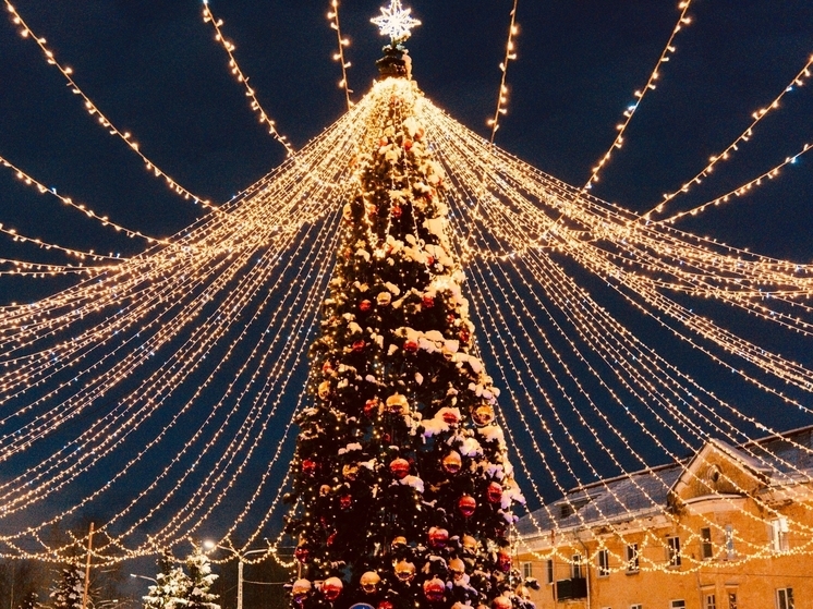 В Новодвинске зажгли огни на главной новогодней елке