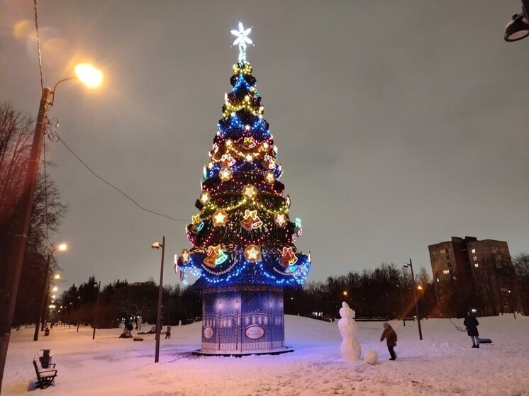 Петербуржцев и ленинградцев попросили быть бдительными на новогодних каникулах