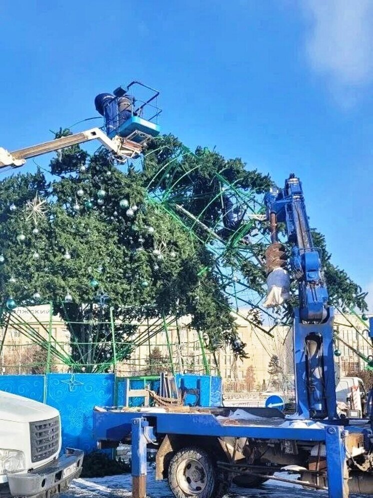 В Саратове главную новогоднюю ель, сломанную ураганом, восстановят