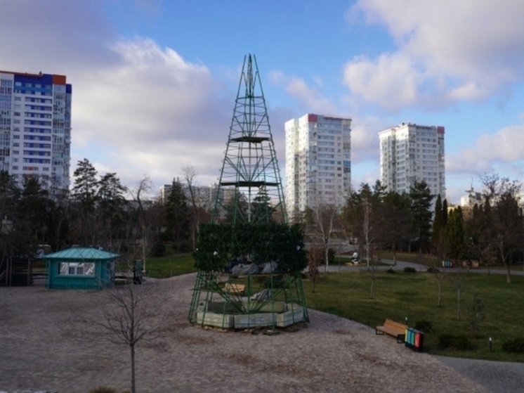 В центре Волгограда приступили к установке главной елки высотой в 20 метров