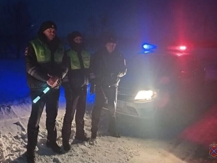 Полицейские и пожарные помогли попавшим в снежную бурю волгоградцам