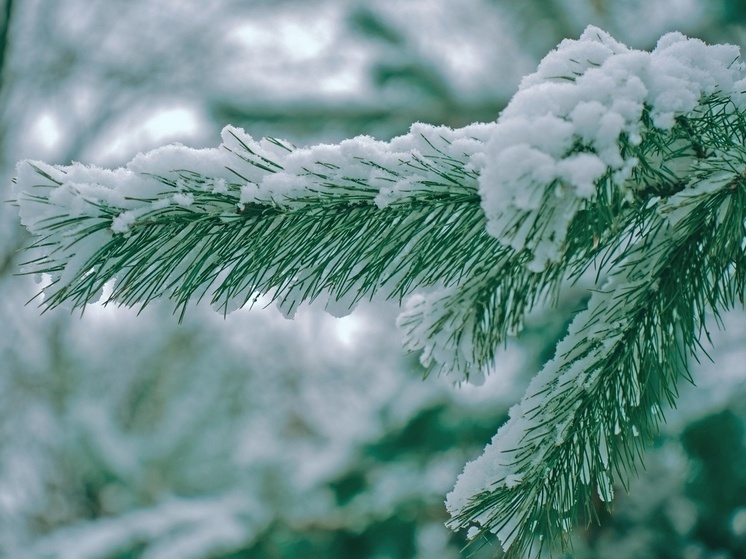 По Тульской области ударят морозы до -11 градусов