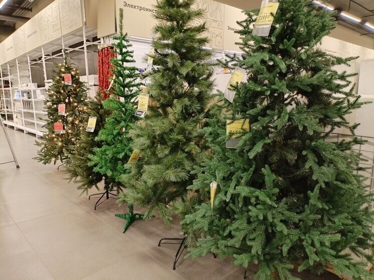 Новгородский Роспотребнадзор дал рекомендации по выбору искусственной елки