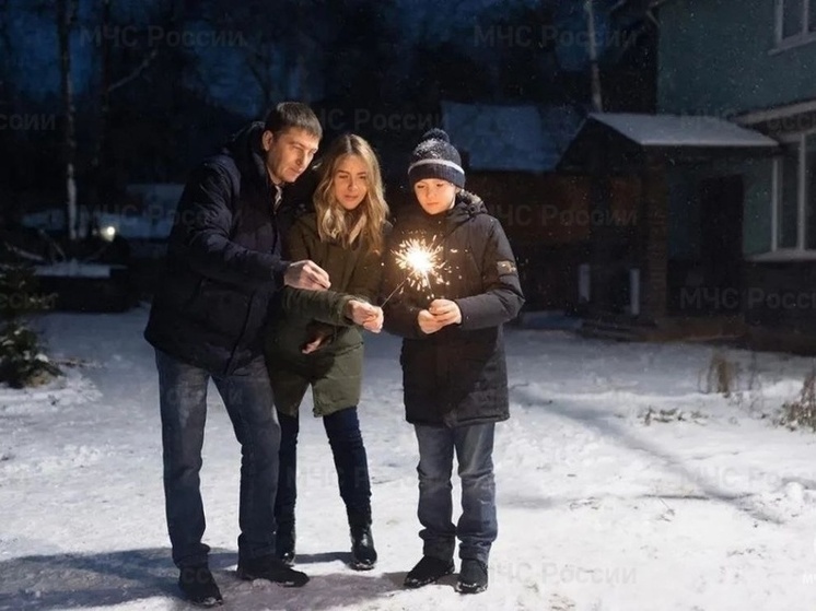 МЧС напомнило жителям Воронежской области об опасности пиротехники для детей