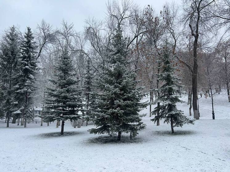 Метель и гололедица ожидаются в Самарской области 15 декабря