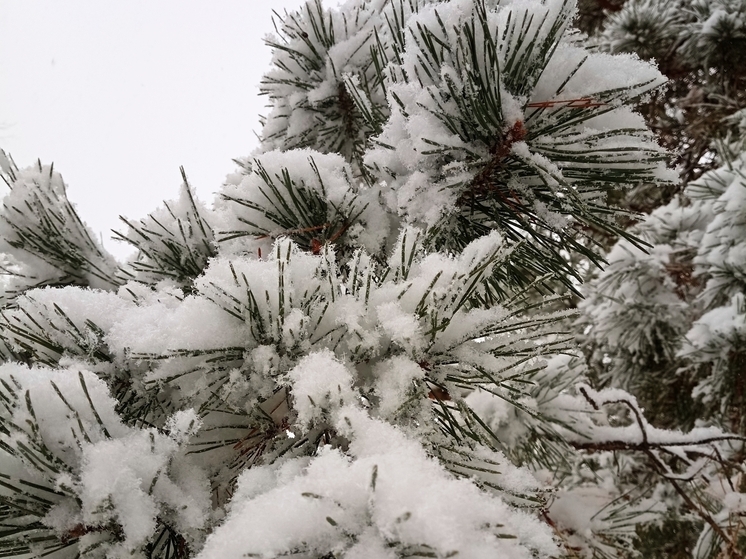Сила магнитной бури 15 декабря составит 3 балла: пора пассивности и отдыха