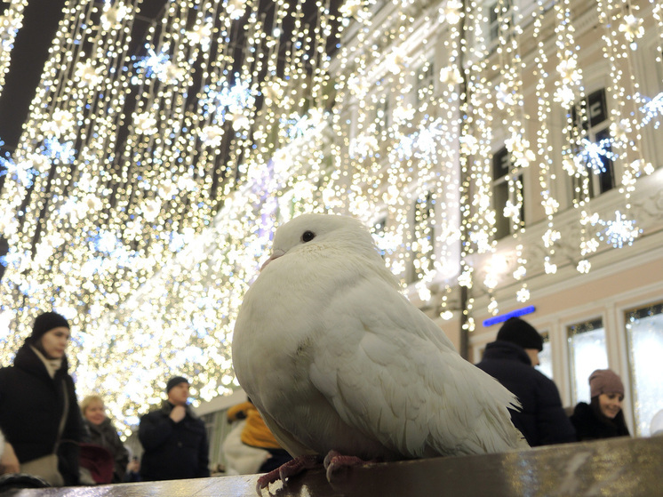 Россияне массово скупают "парящие" гирлянды к Новому году