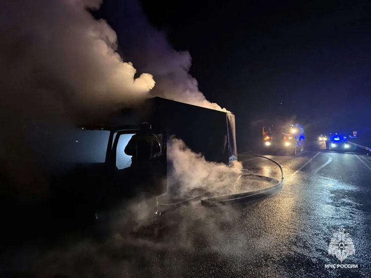 В Тверской области загорелся автомобиль