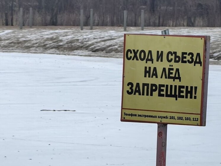 В Великом Новгороде заметили гуляющих по льду детей